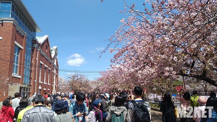 造幣局4月9日の状況その1