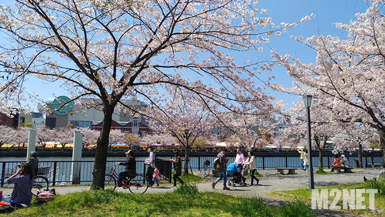 造幣局の周り